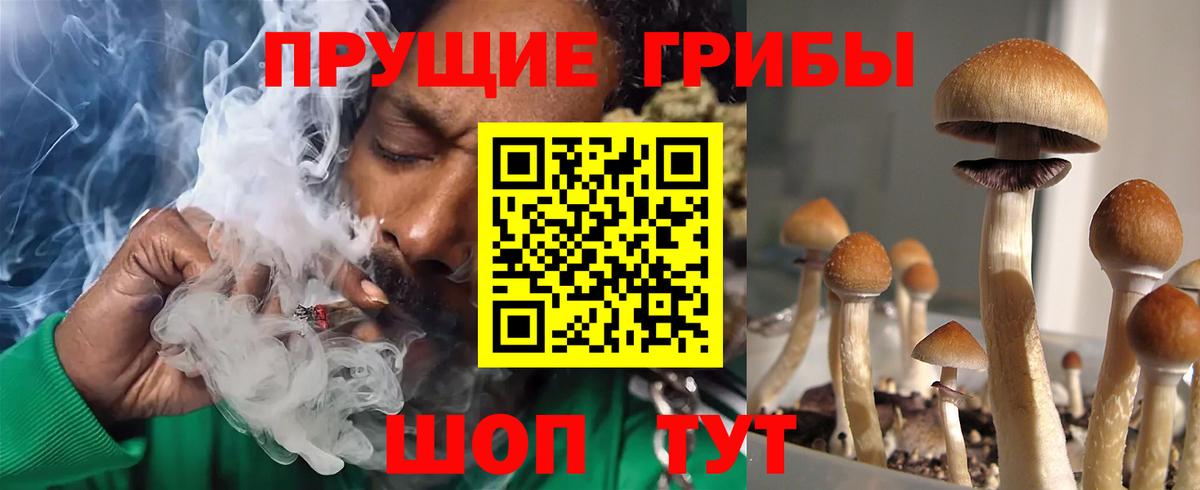 Псилоцибиновые грибы GOLDEN TEACHER Миасс